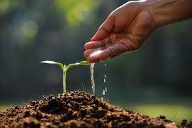Impacts of Agricultural Technology